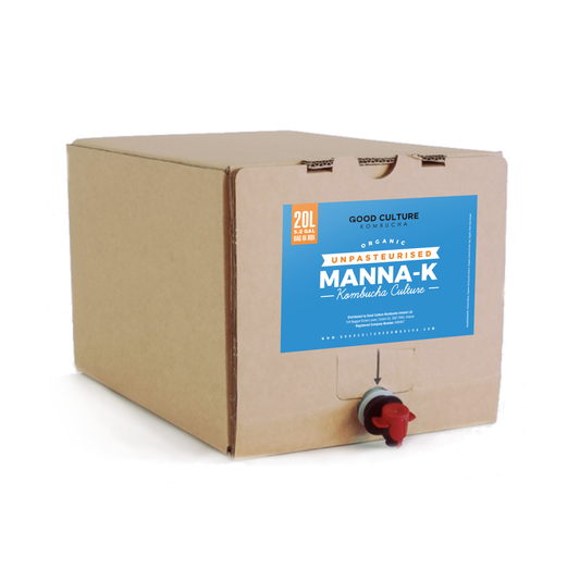 20 Litres of Manna-KX Unpasteruised - Premium Green & Black Tea Kombucha – Makes 600 Litres