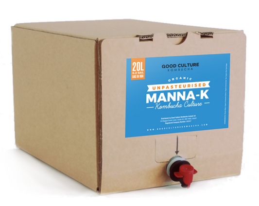 20 Litres of Manna-K Unpasteurised - Green Tea Kombucha – Makes 400 Litres