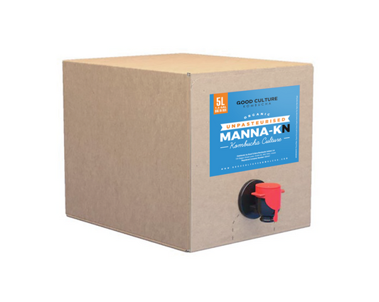 5 Litres of Manna-KN Unpasteurised - Premium Black Tea Kombucha – Makes 35 Litres